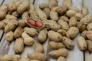 Greenfood Nutrition