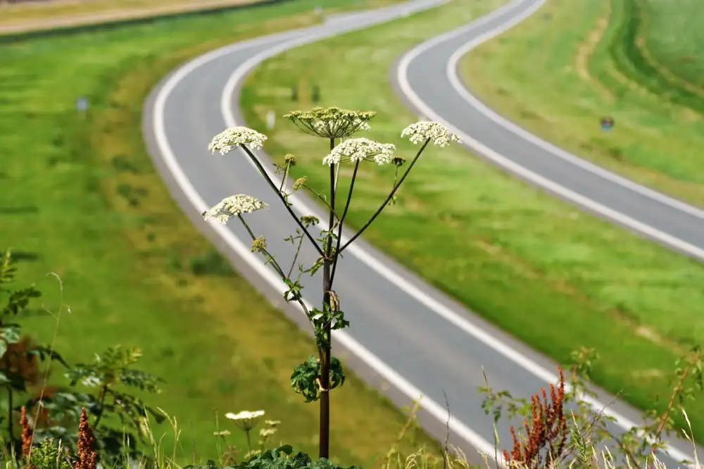 Velikost 68 Miminko